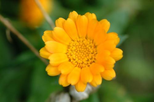 JardMaj2001 1017AL