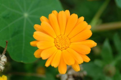 JardMaj2001 1017AM