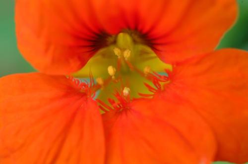 JardMaj2001 1017BD